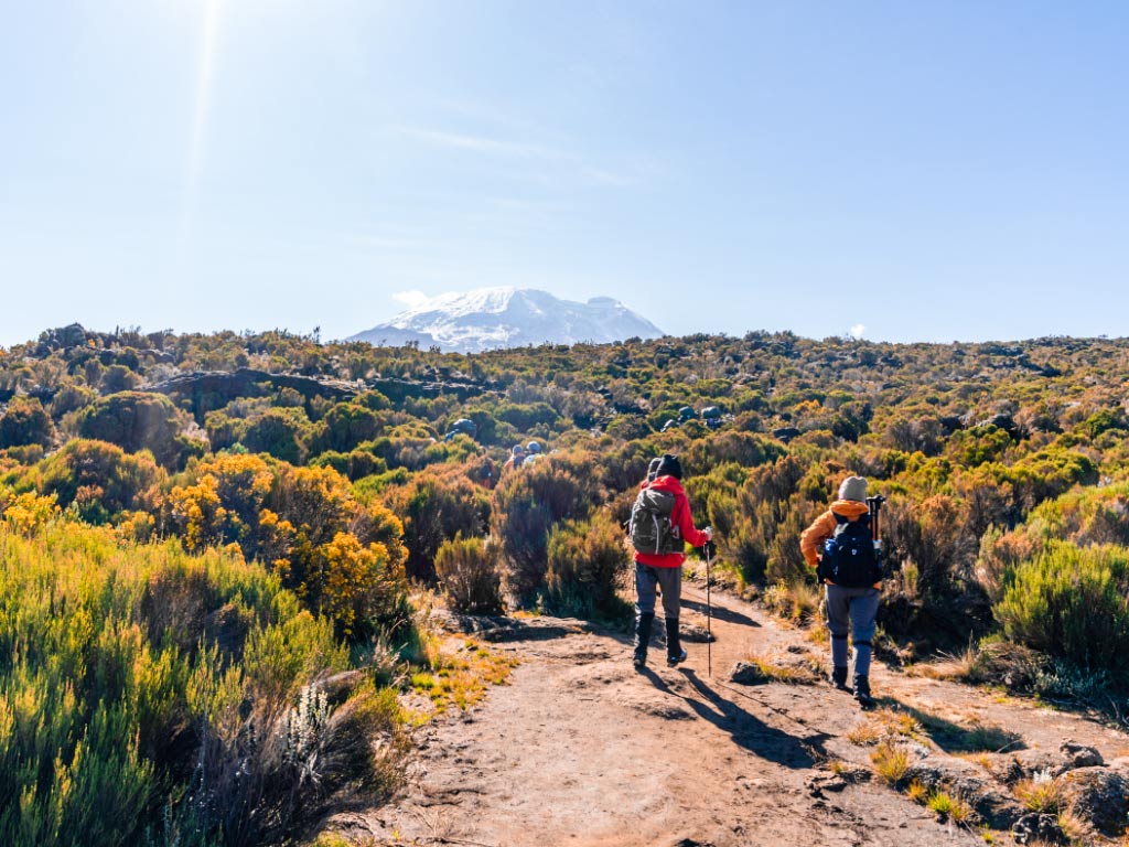 Rongai Route Kilimanjaro