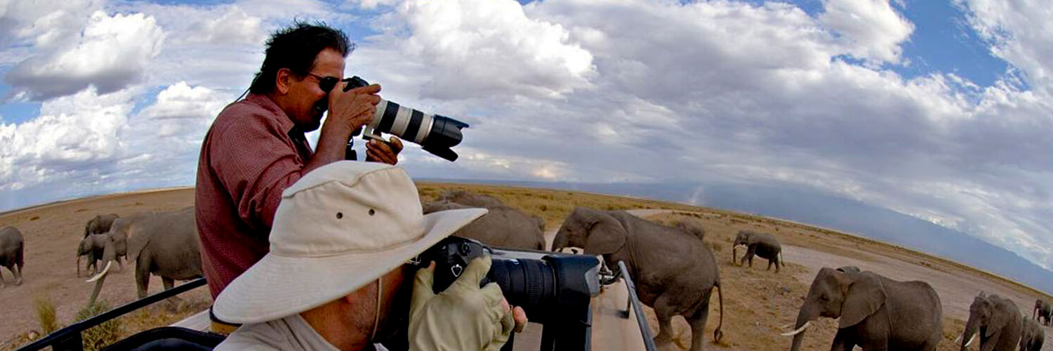 Serengeti Landscape