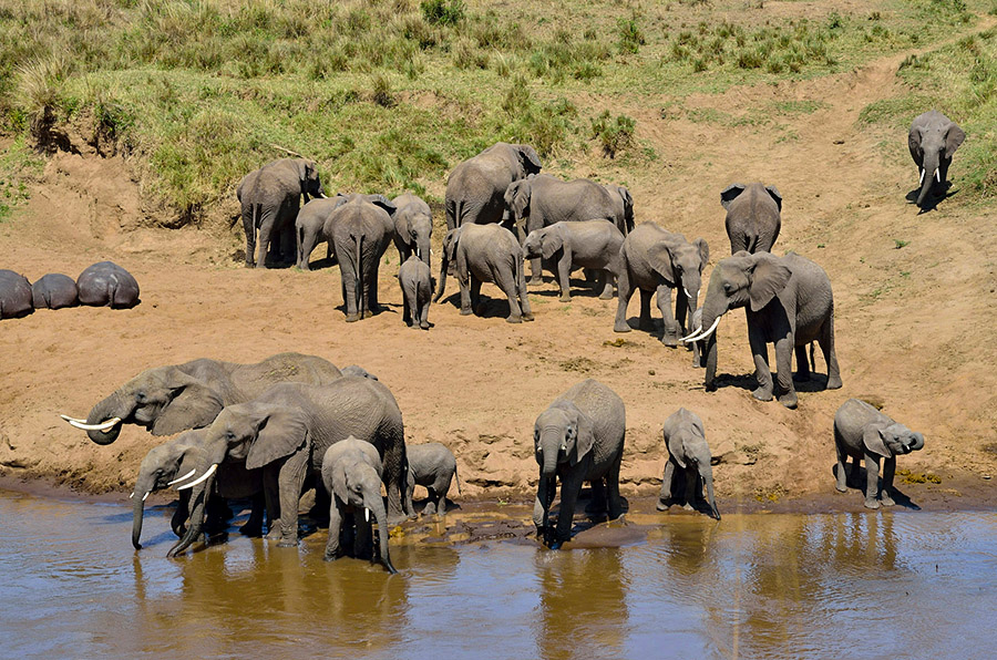 Ultimate Tanzania Adventure