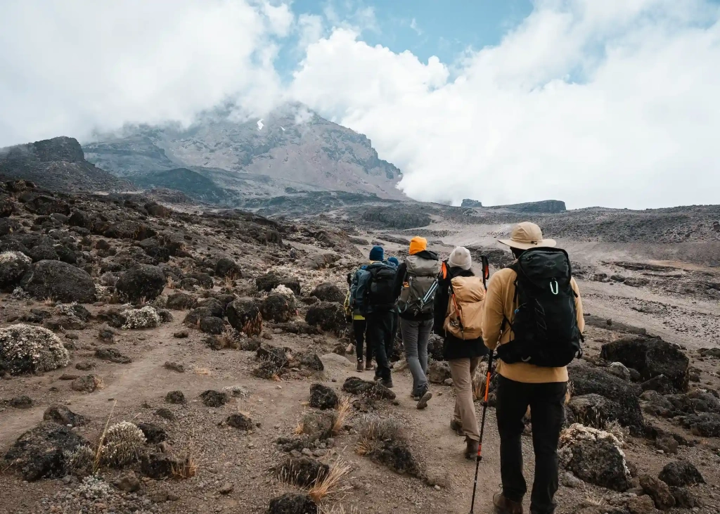 Kilimanjaro seasonal weather patterns chart
