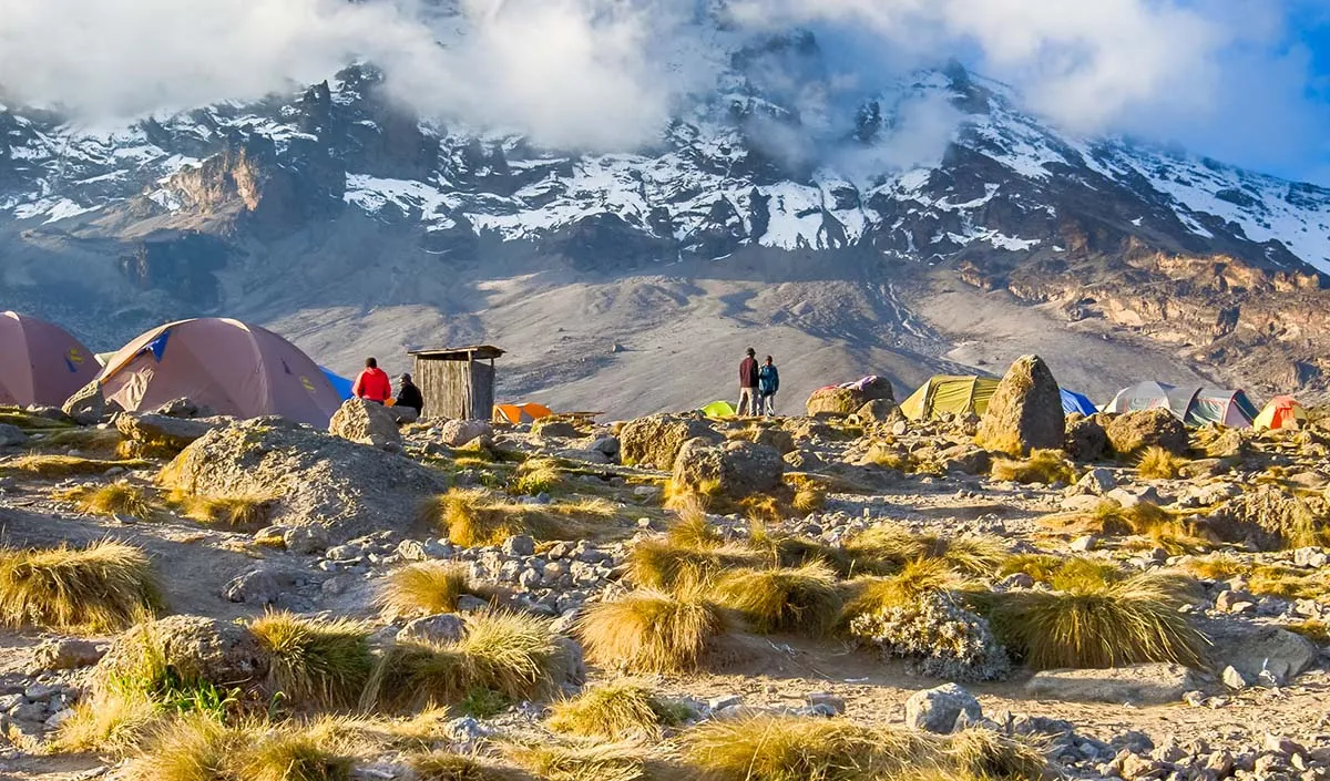 Best climbing seasons for Rongai Route