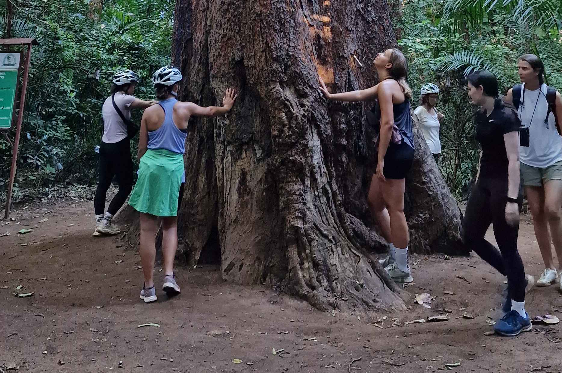 Rau Forest Reserve