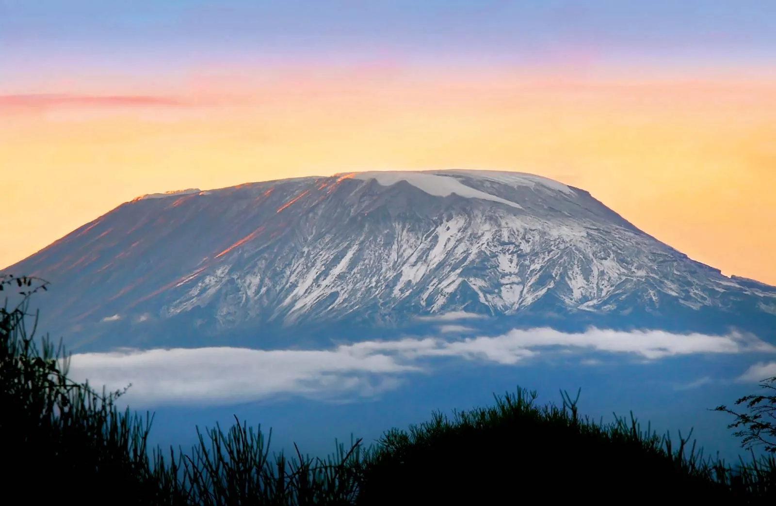 One Kilimanjaro   team members